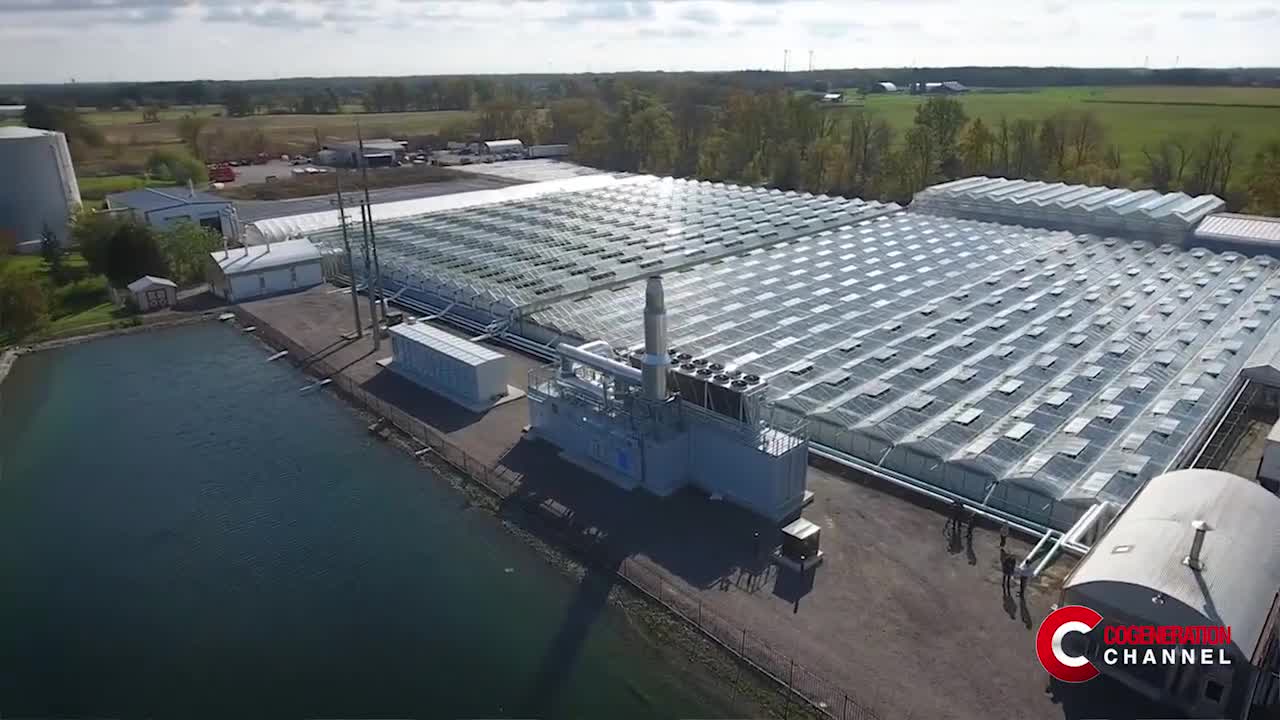 The CHPSOP 2 Programme supports the CHP production in the Ravensbergen greenhouse