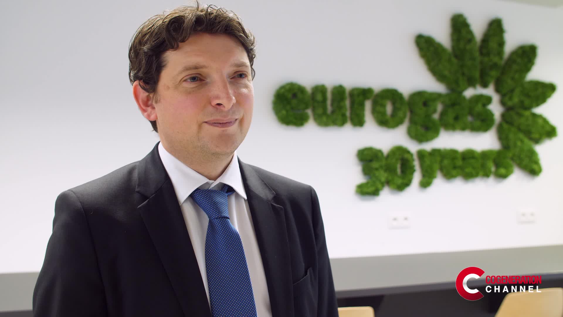Carbon neutrality: the role of gas towards decarbonization