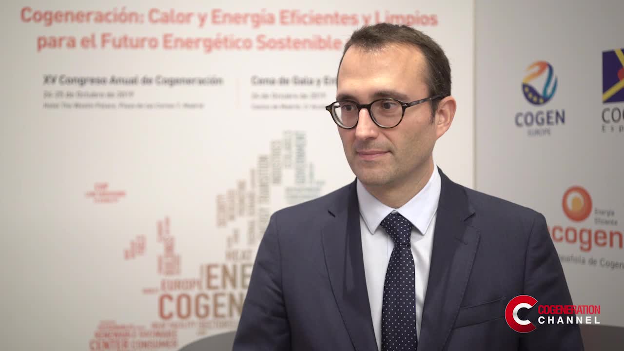 Reliability and flexibility: the cogeneration trump cards in the electricity market scenario