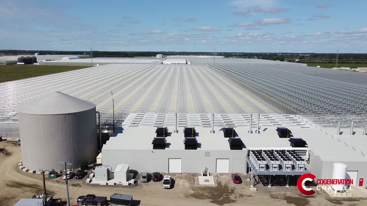 Multiple benefits for Under Sun Acres, Canadian greenhouse with a 13.3 MW cogeneration plant funded by the CHPSOP 2 Program