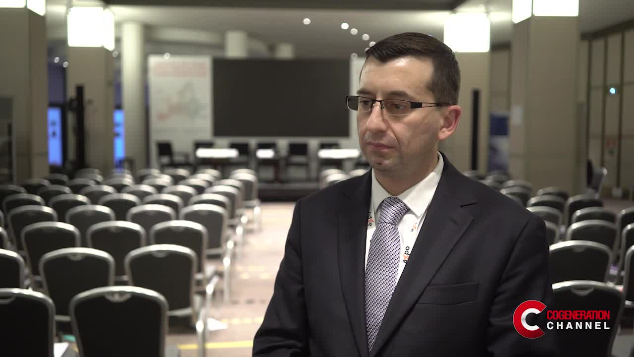 Cogeneration: essential for the European paper industry, but EU support needed